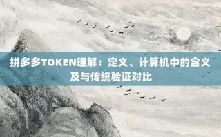 拼多多TOKEN理解：定义、计算机中的含义及与传统验证对比