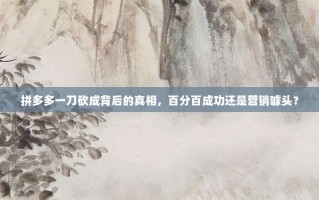 拼多多一刀砍成背后的真相，百分百成功还是营销噱头？