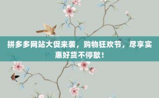 拼多多网站大促来袭，购物狂欢节，尽享实惠好货不停歇！
