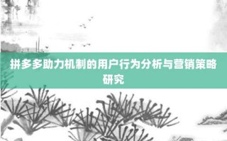 拼多多助力机制的用户行为分析与营销策略研究
