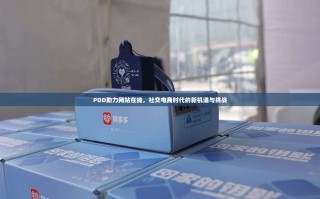 PDD助力网站在线，社交电商时代的新机遇与挑战