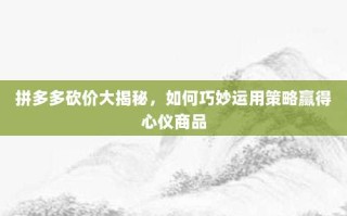 拼多多砍价大揭秘，如何巧妙运用策略赢得心仪商品