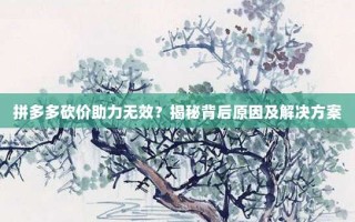 拼多多砍价助力无效？揭秘背后原因及解决方案