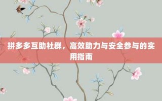 拼多多互助社群，高效助力与安全参与的实用指南