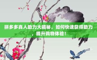 拼多多真人助力大揭秘，如何快速获得助力，提升购物体验！