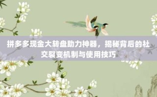 拼多多现金大转盘助力神器，揭秘背后的社交裂变机制与使用技巧