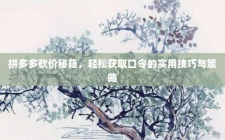 拼多多砍价秘籍，轻松获取口令的实用技巧与策略