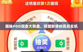 揭秘PDD现金大转盘，锦鲤附体的背后玄机
