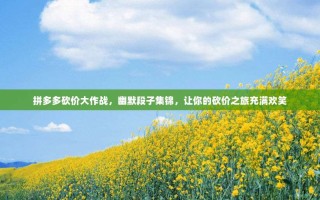 拼多多砍价大作战，幽默段子集锦，让你的砍价之旅充满欢笑