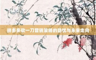 拼多多砍一刀营销策略的隐忧与未来走向