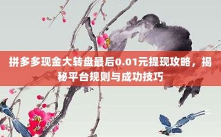 拼多多现金大转盘最后0.01元提现攻略，揭秘平台规则与成功技巧