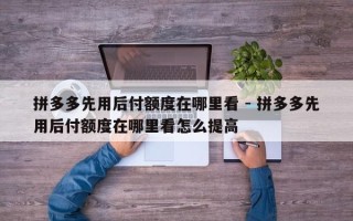 拼多多先用后付额度在哪里看 - 拼多多先用后付额度在哪里看怎么提高