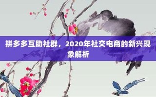 拼多多互助社群，2020年社交电商的新兴现象解析