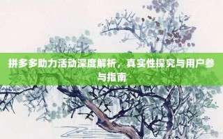 拼多多助力活动深度解析，真实性探究与用户参与指南