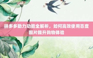 拼多多助力功能全解析，如何高效使用百度图片提升购物体验