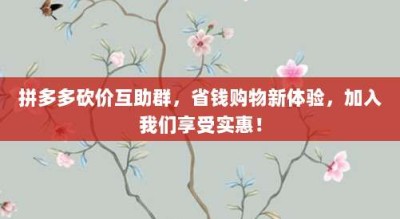 拼多多砍价互助群，省钱购物新体验，加入我们享受实惠！