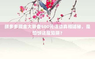 拼多多现金大转盘500元活动真相揭秘，是馅饼还是陷阱？