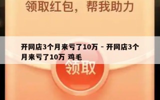 开网店3个月来亏了10万 - 开网店3个月来亏了10万 鸡毛