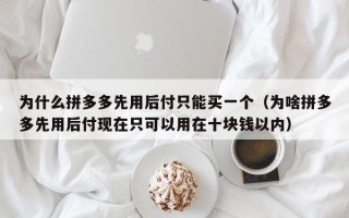 为什么拼多多先用后付只能买一个（为啥拼多多先用后付现在只可以用在十块钱以内）