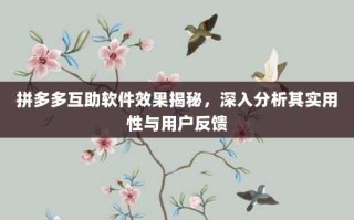 拼多多互助软件效果揭秘，深入分析其实用性与用户反馈