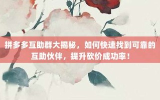 拼多多互助群大揭秘，如何快速找到可靠的互助伙伴，提升砍价成功率！