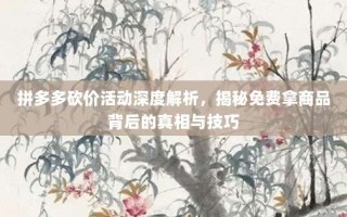 拼多多砍价活动深度解析，揭秘免费拿商品背后的真相与技巧