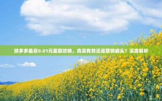 拼多多最后0.01元差额攻略，真实有效还是营销噱头？深度解析