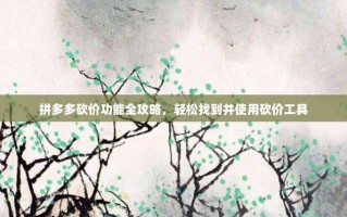 拼多多砍价功能全攻略，轻松找到并使用砍价工具