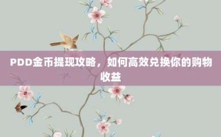 PDD金币提现攻略，如何高效兑换你的购物收益