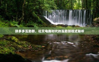 拼多多互助群，社交电商时代的互助新模式解析