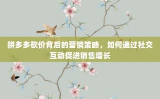 拼多多砍价背后的营销策略，如何通过社交互动促进销售增长