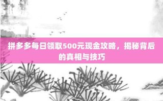 拼多多每日领取500元现金攻略，揭秘背后的真相与技巧