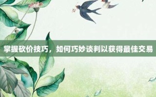 掌握砍价技巧，如何巧妙谈判以获得最佳交易