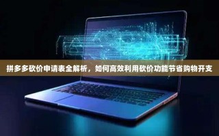 拼多多砍价申请表全解析，如何高效利用砍价功能节省购物开支