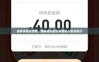 拼多多砍价攻略，揭秘成功砍价所需的人数及技巧