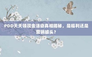 PDD天天领现金活动真相揭秘，是福利还是营销噱头？