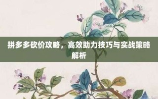 拼多多砍价攻略，高效助力技巧与实战策略解析