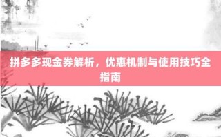 拼多多现金券解析，优惠机制与使用技巧全指南