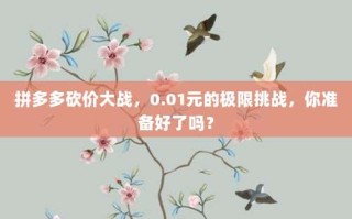 拼多多砍价大战，0.01元的极限挑战，你准备好了吗？