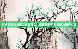 拼多多助力金币之后是什么，深度解析平台策略与用户心理