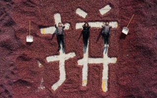 4月30日拼多多发布2020年全年财报，多项数据亮眼