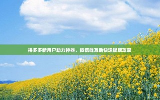 拼多多新用户助力神器，微信群互助快速提现攻略