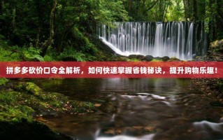 拼多多砍价口令全解析，如何快速掌握省钱秘诀，提升购物乐趣！