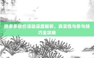 拼多多砍价活动深度解析，真实性与参与技巧全攻略