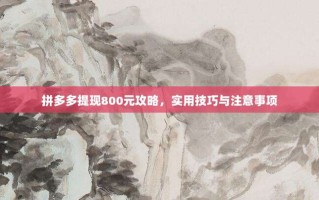 拼多多提现800元攻略，实用技巧与注意事项