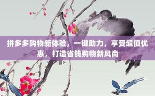 拼多多购物新体验，一键助力，享受超值优惠，打造省钱购物新风尚