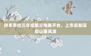 拼多多仅三年成第三电商平台，上市后却深陷山寨风波