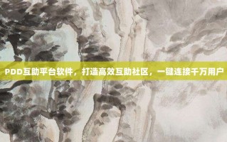 PDD互助平台软件，打造高效互助社区，一键连接千万用户