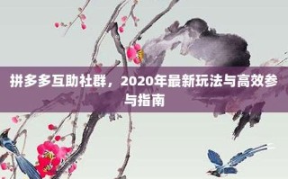 拼多多互助社群，2020年最新玩法与高效参与指南