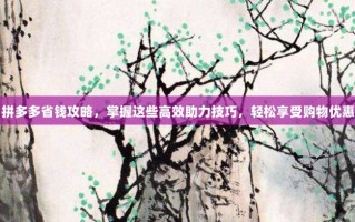 拼多多省钱攻略，掌握这些高效助力技巧，轻松享受购物优惠